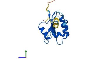 AlphaFold protein structure predicition of Human Recombinant ATP6V1F Protein, UniprotID Q16864