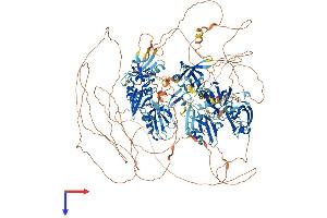 AlphaFold protein structure predicition of Mouse Recombinant Magi3 Protein, UniprotID Q9EQJ9