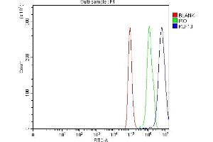 Flow Cytometry analysis of Hela cells using anti-KLF13 antibody (ABIN7602036). (KLF13 anticorps  (AA 56-260))