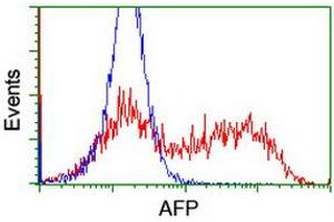 HEK293T cells transfected with either RC206622 overexpress plasmid (Red) or empty vector control plasmid (Blue) were immunostained by anti-AFP antibody (ABIN2454037), and then analyzed by flow cytometry. (alpha Fetoprotein anticorps)