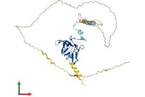 AlphaFold protein structure predicition of Human Recombinant SNIP1 Protein, UniprotID Q8TAD8