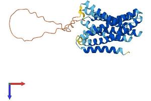 AlphaFold protein structure predicition of Human Recombinant SLC39A3 Protein, UniprotID Q9BRY0