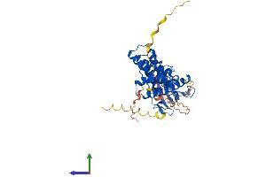 AlphaFold protein structure predicition of Human Recombinant FKBP8 Protein, UniprotID Q14318