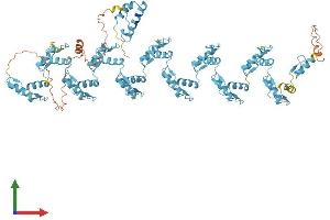 AlphaFold protein structure predicition of Human Recombinant ZNF780B Protein, UniprotID Q9Y6R6
