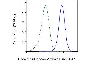 Validation of Checkpoint kinase 2 knockdown using flow cytometry. (Recombinant CHEK2 anticorps)