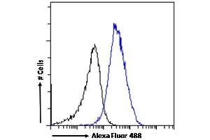 (ABIN185493) Flow cytometric analysis of paraformaldehyde fixed HeLa cells (blue line), permeabilized with 0.