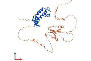AlphaFold protein structure predicition of Mouse Recombinant Nfyc Protein, UniprotID P70353