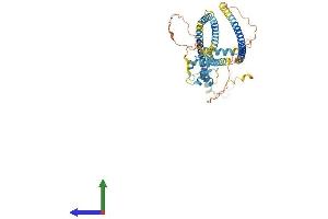 AlphaFold protein structure predicition of Mouse Recombinant Efcab14 Protein, UniprotID Q8BGQ6