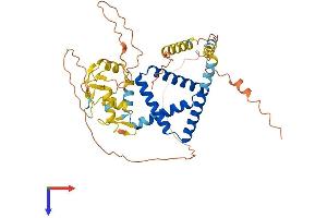 AlphaFold protein structure predicition of Human Recombinant ZNF821 Protein, UniprotID O75541