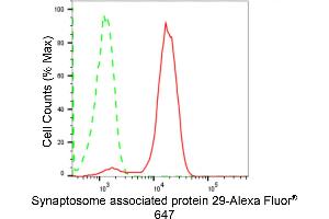 Flow cytometric analysis of Synaptosome associated protein 29 expression in HepG2 cells using Synaptosome associated protein 29 antibody (ABIN7800488), 1:2,000). (Recombinant SNAP29 anticorps)