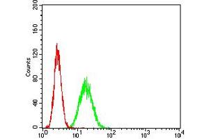 Flow cytometric analysis of HeLa cells using APEX1 mouse mAb (green) and negative control (red). (APEX1 anticorps  (AA 219-318))