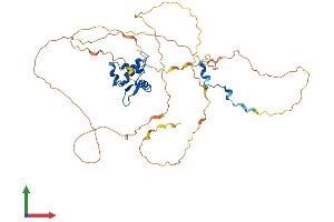 AlphaFold protein structure predicition of Human Recombinant ELK1 Protein, UniprotID P19419