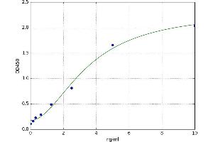 Chemokine (C-X-C Motif) Receptor 5 (CXCR5) ELISA Kit