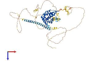AlphaFold protein structure predicition of Mouse Recombinant Epn2 Protein, UniprotID Q8CHU3