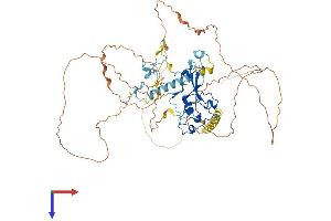 AlphaFold protein structure predicition of Mouse Recombinant Mbd1 Protein, UniprotID Q9Z2E2