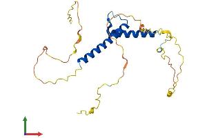 AlphaFold protein structure predicition of Human Recombinant BHLHA9 Protein, UniprotID Q7RTU4