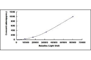 Typical standard curve (Amphiregulin Kit CLIA)