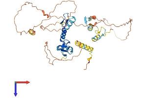 AlphaFold protein structure predicition of Human Recombinant IKZF5 Protein, UniprotID Q9H5V7