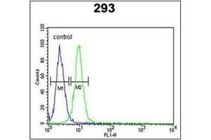 Flow Cytometric analysis of 293 cells (right histogram) using RPL18A Antibody (C-term) Cat. (RPL18A anticorps  (C-Term))