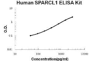 Human SPARCL1 PicoKine ELISA Kit standard curve (SPARCL1 Kit ELISA)