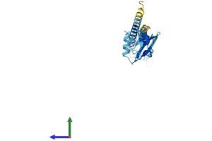 AlphaFold protein structure predicition of Mouse Recombinant Psmd9 Protein, UniprotID Q9CR00