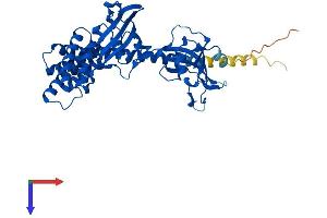 AlphaFold protein structure predicition of Mouse Recombinant Fkbp5 Protein, UniprotID Q64378