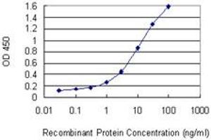 Detection limit for recombinant GST tagged PELP1 is 0. (PELP1 anticorps  (AA 337-410))