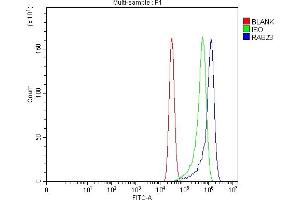 Flow Cytometry analysis of MCF-7 cells using anti-RAB23 antibody (ABIN7600675). (RAB23 anticorps  (AA 22-168))