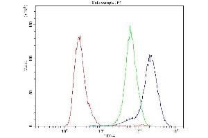 Flow Cytometry analysis of HT-29 cells using anti-CA2 antibody (ABIN4886493).