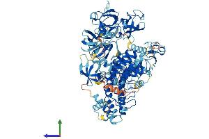 AlphaFold protein structure predicition of Mouse Recombinant Mib2 Protein, UniprotID Q8R516