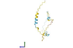 AlphaFold protein structure predicition of Human Recombinant LBH Protein, UniprotID Q53QV2