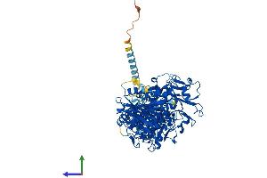 AlphaFold protein structure predicition of Mouse Recombinant Enpp3 Protein, UniprotID Q6DYE8