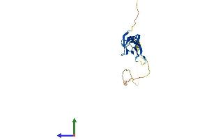 AlphaFold protein structure predicition of Human Recombinant NPM2 Protein, UniprotID Q86SE8