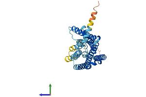 AlphaFold protein structure predicition of Human Recombinant OR7A5 Protein, UniprotID Q15622