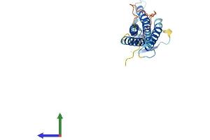 AlphaFold protein structure predicition of Human Recombinant CLDN6 Protein, UniprotID P56747