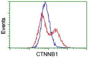 Flow Cytometry (FACS) image for anti-Catenin (Cadherin-Associated Protein), beta 1, 88kDa (CTNNB1) antibody (ABIN1496897) (CTNNB1 anticorps)