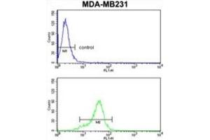 Flow Cytometry (FACS) image for anti-1-Acylglycerol-3-Phosphate O-Acyltransferase 4 (AGPAT4) antibody (ABIN3003878)