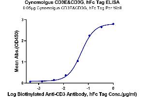 Immobilized Cynomolgus CD3E&CD3G, hFc Tag at 0.