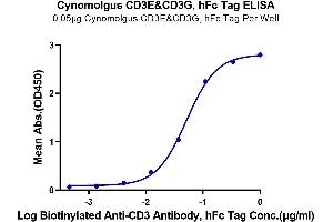 Immobilized Cynomolgus CD3E&CD3G, hFc Tag at 0. (CD3E & CD3G (AA 22-117) protein (Fc Tag))