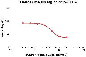 Immobilized Human BCMA, His Tag (ABIN4949075,ABIN4949076) at 2 μg/mL (100 μL/well) can bind  increasing concentrations of A MAb (Mouse IgG1) and 0.