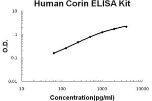 Human Corin PicoKine ELISA Kit standard curve
