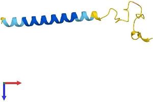AlphaFold protein structure predicition of Human Recombinant TTTY10 Protein, UniprotID Q9BZA0