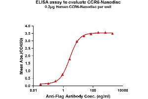 Elisa plates were pre-coated with Flag Tag -Nanodisc (0. (CCR6 Protéine)