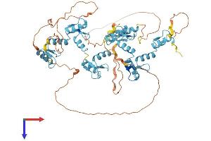 AlphaFold protein structure predicition of Human Recombinant ZNF467 Protein, UniprotID Q7Z7K2