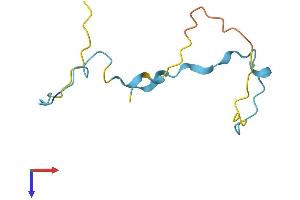 AlphaFold protein structure predicition of Human Recombinant SMPX Protein, UniprotID Q9UHP9