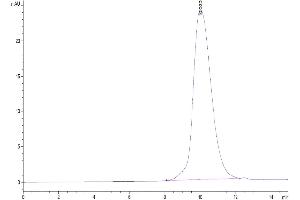 The purity of Human LILRB1/CD85j/ILT2 is greater than 95 % as determined by SEC-HPLC.