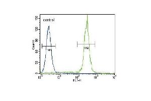 BTC Antibody (N-term) (ABIN655615 and ABIN2845096) flow cytometric analysis of Hela cells (right histogram) compared to a negative control cell (left histogram).