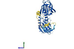 AlphaFold protein structure predicition of Human Recombinant BBS5 Protein, UniprotID Q8N3I7