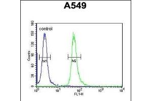 GNAT3 Antibody (Center) (ABIN654441 and ABIN2844175) flow cytometric analysis of A549 cells (right histogram) compared to a negative control cell (left histogram).