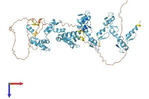 AlphaFold protein structure predicition of Human Recombinant ZNF44 Protein, UniprotID P15621